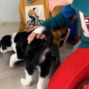 165869879_1413175769031348_3439779790127486466_n