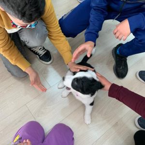 166181045_1413175759031349_4883346554030782560_n